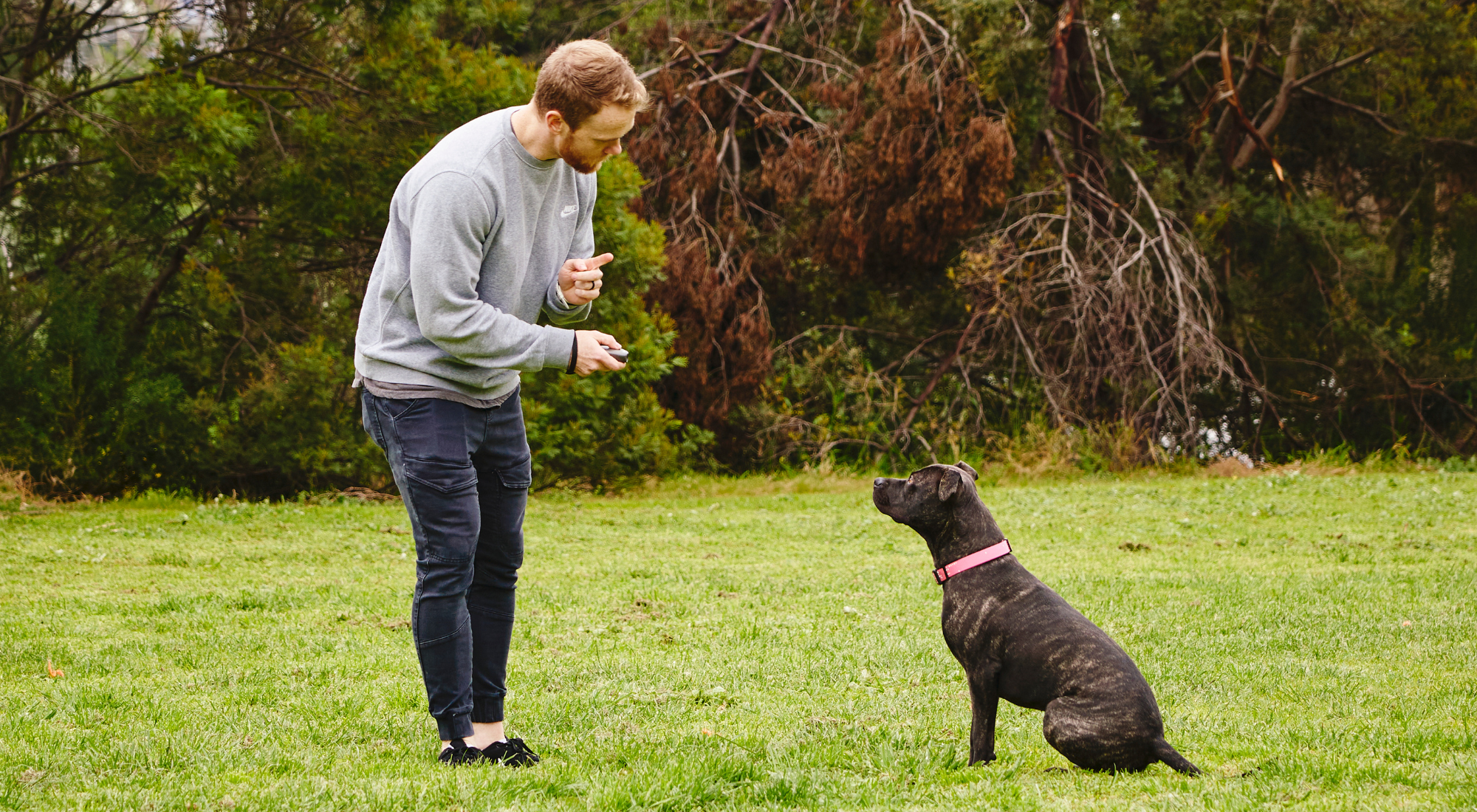 Our Barkfix Is A Safe, Humane And Effective Bark Control & Dog Training Device Using An Ultrasonic Audio Signal. Barkfix Corrects And Eliminates Unwanted Dog Behaviour, Quickly And Effectively! Easy & Safe To Use. Suitable For All Dog Sizes. Wide Control 