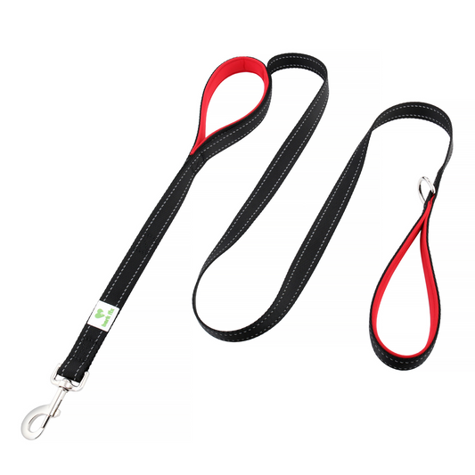 Double Handle Dog Training Leash