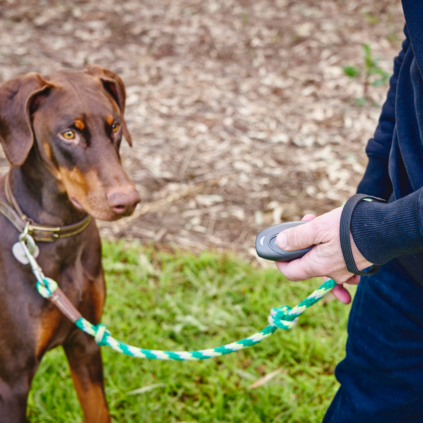 Barkfix™ Ultrasonic Bark Control & Dog Training Device. Trusted & Safe